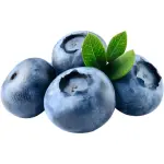 Blue Berry