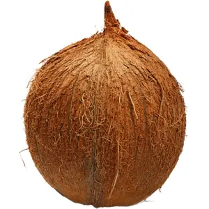 Brown Coconut