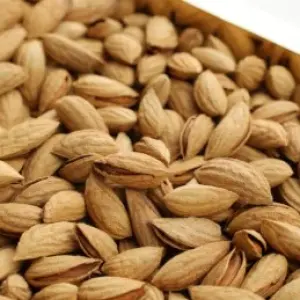 Uzbekistan Almonds