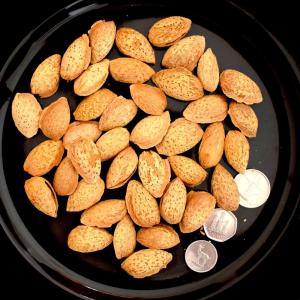 Soft Shell Almonds