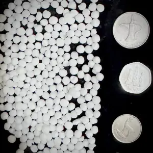 Sago Seeds (SAGO DANA INDIA )