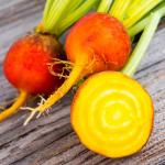 Baby Beetroot Golden