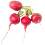 Baby Radish