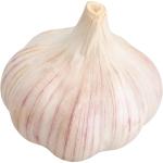Garlic China