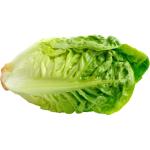 Lettuce Gem