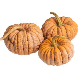 Mini Asian Heirloom Pumpkin