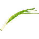 Onion Spring Whole Sanitized