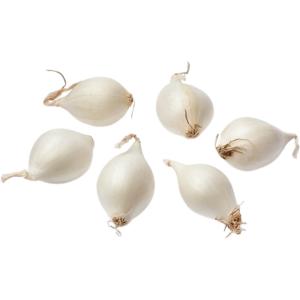Pearl Onion USA