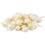 Pearl Onion USA