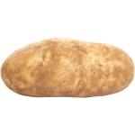 Potato