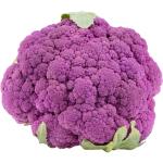 Purple Cauliflower