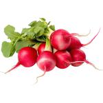 Radish Red Local