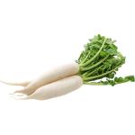 White Radish (Daikon Radish)