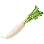 White Radish (Daikon Radish)