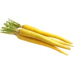 Yellow Carrot